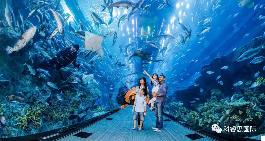 在迪拜和小朋友玩,迪拜那些有趣的事