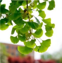 悄悄告诉你，来交大希望学院不能错过这站！