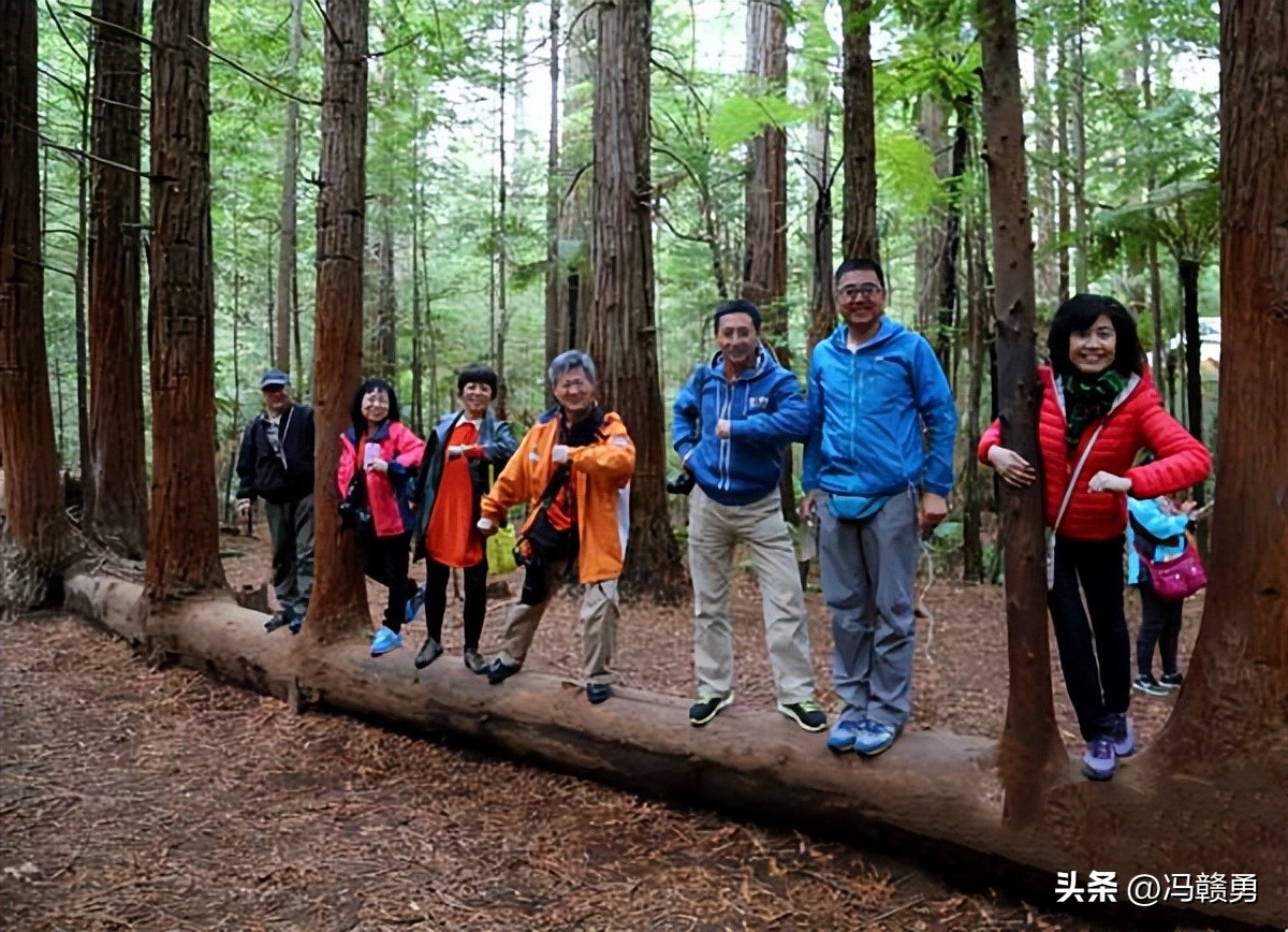 大洋洲旅游,新西兰罗托鲁瓦湖旅游攻略