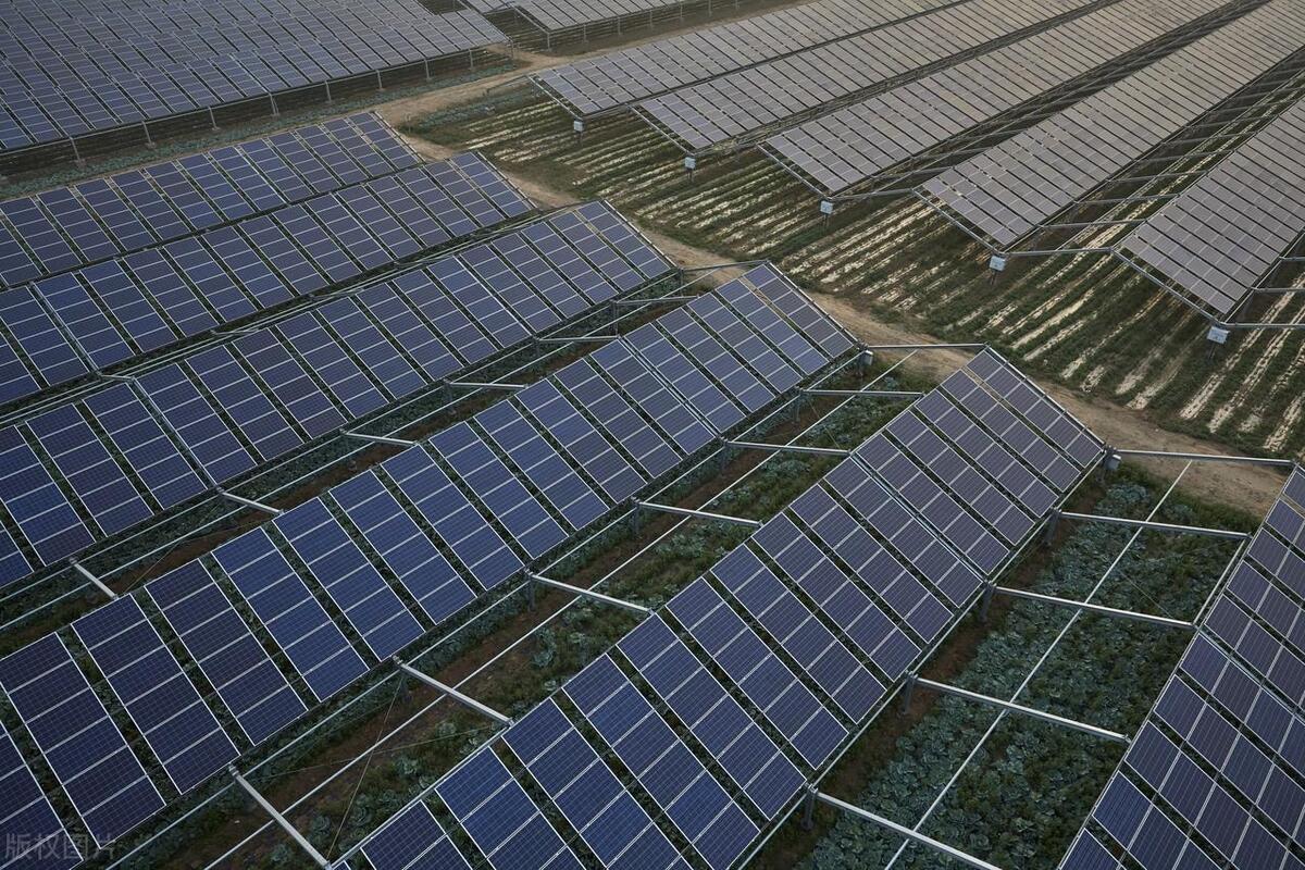 农村致富有这4个项目就足够了,农业农村有哪些新项目可以致富