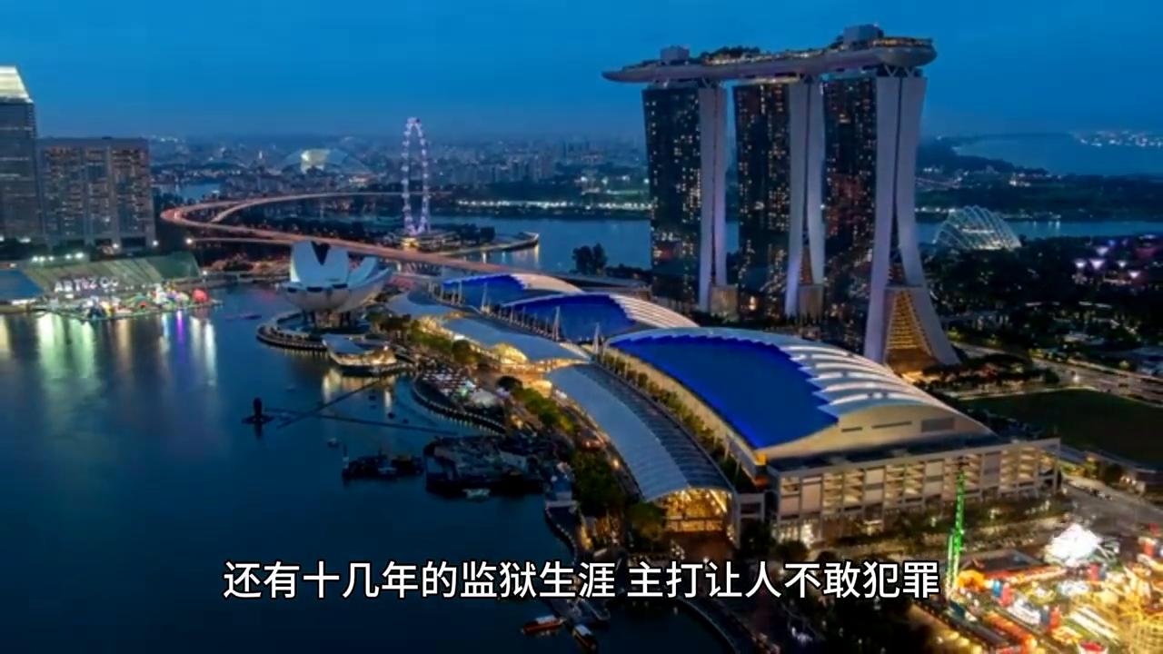 300余名老人被骗超1300万,老人旅游被旅行社骗买东西