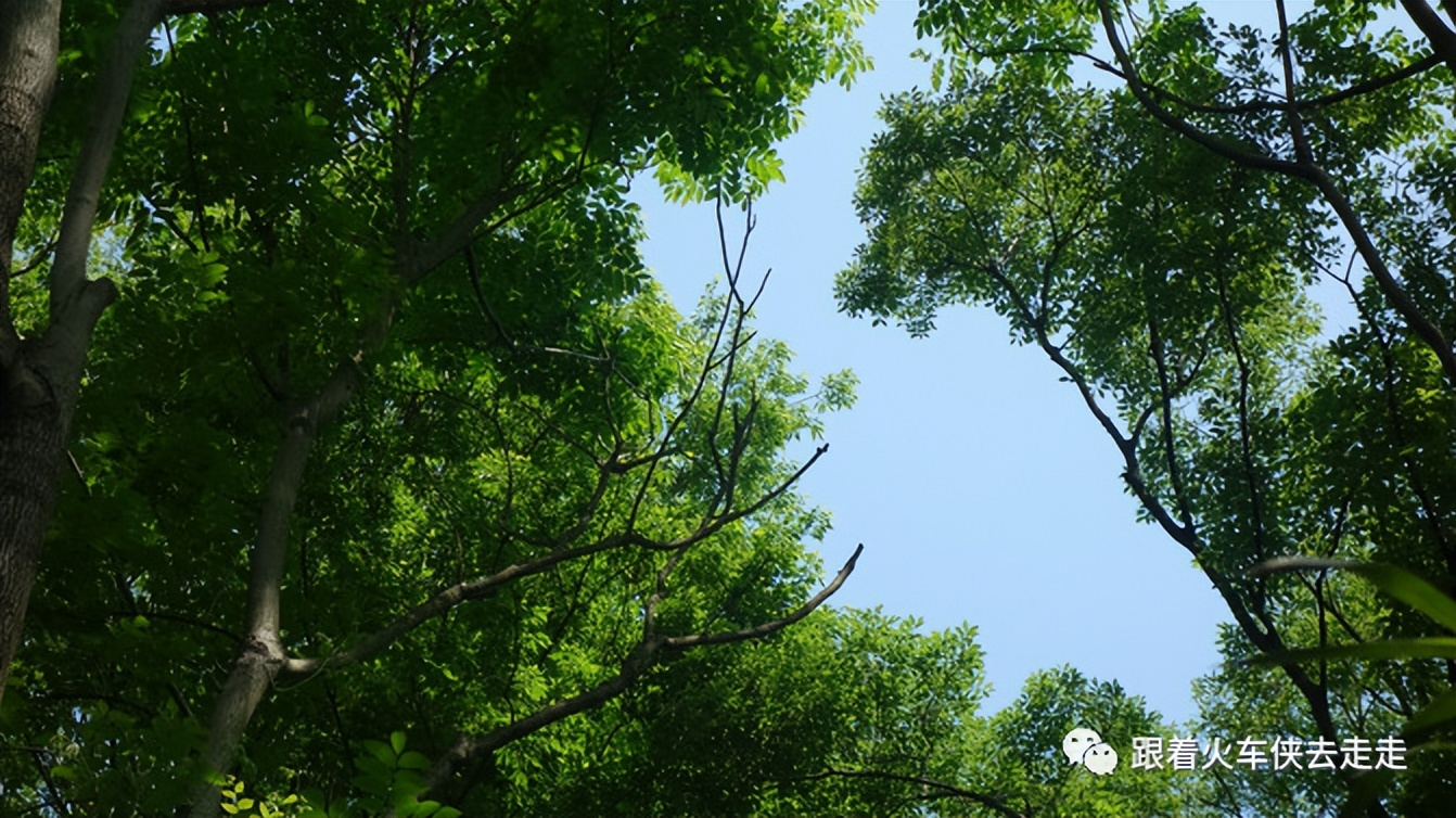 南京城墙下的琵琶湖,南京旅游先看城墙还是先看玄武湖