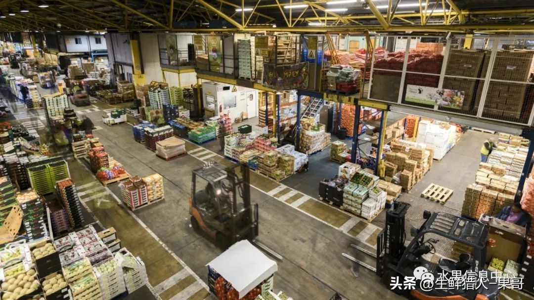 中国十大果蔬批发市场,全国十大蔬果批发市场