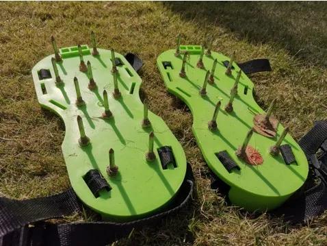 11月乔木灌木草坪病虫害用药,草坪病虫害怎么防治