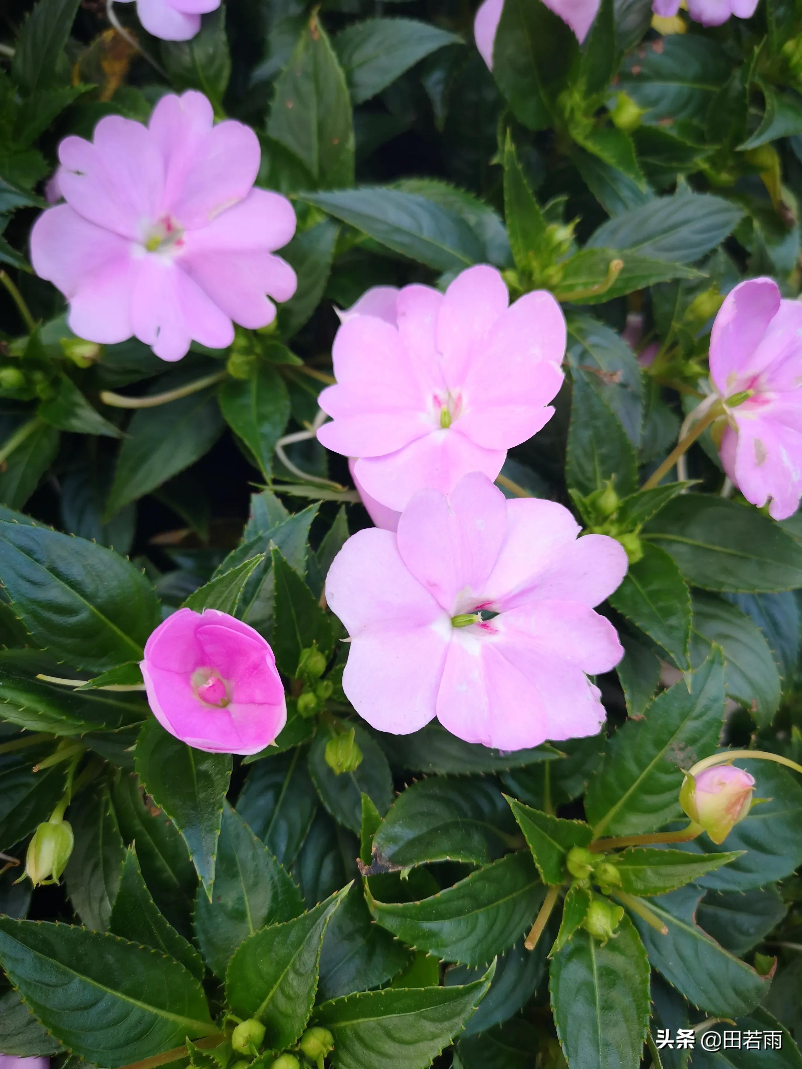 开远市文明城市,开远市怎样的城市