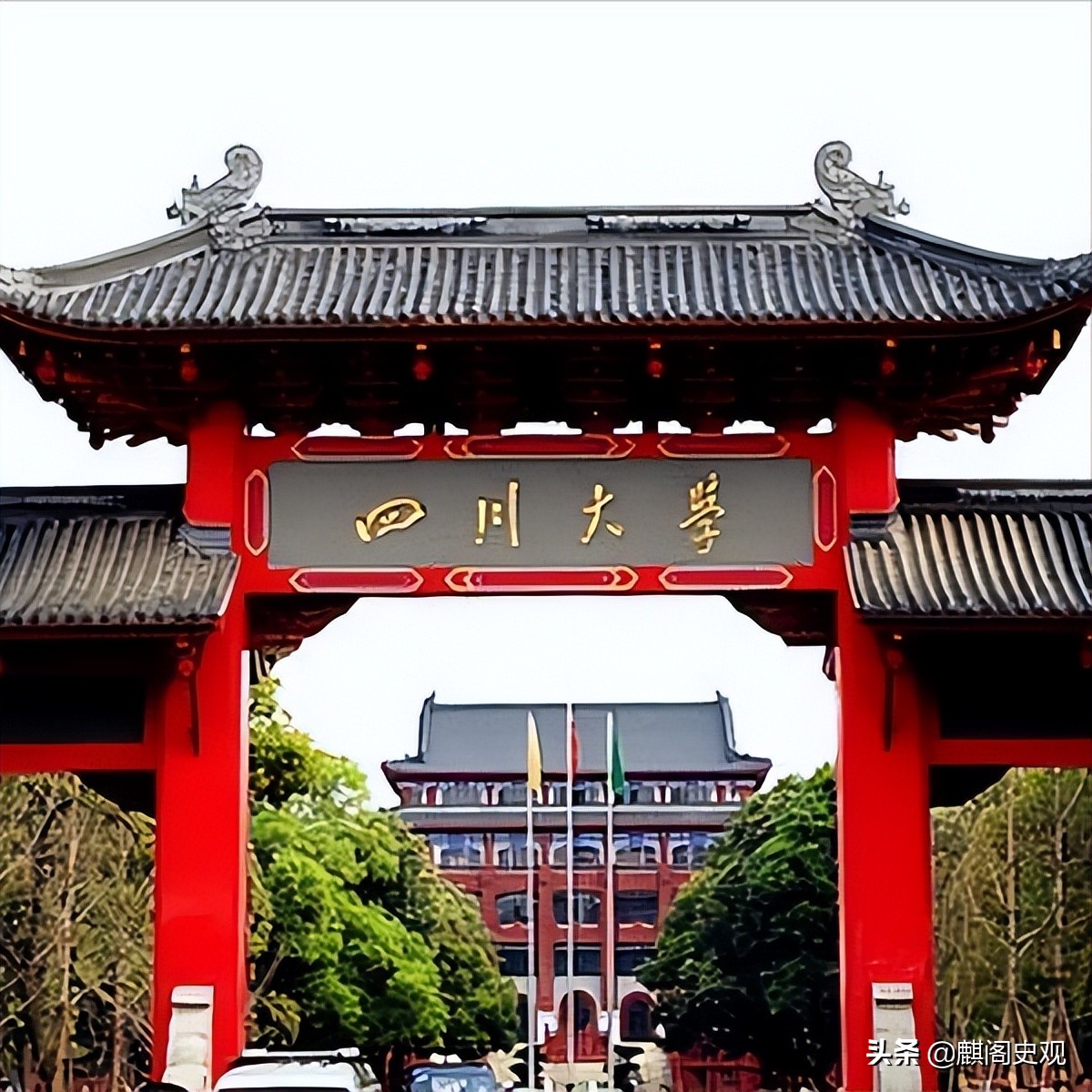 四川考生用甲骨文写作破格录取,甲骨文写作文被川大录取