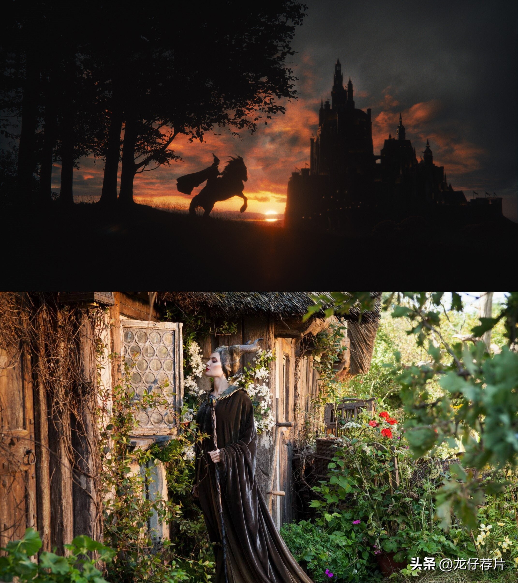 盘点四部仙气十足的魔幻童话电影,5部意境独特画面唯美的小众电影