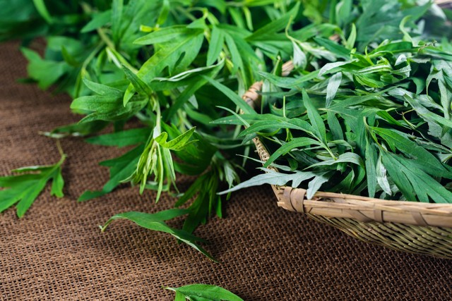 学习日本技术优点,学习日本人的东西