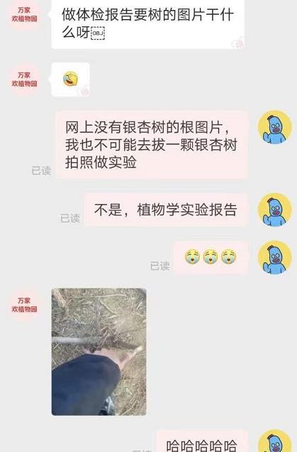 临近考试，大学生到“拼夕夕”求助专业卖家，东问西问就是不下单
