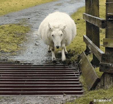 今天过来按脚，恰巧碰见了前女友，我该怎么化解尴尬呢？