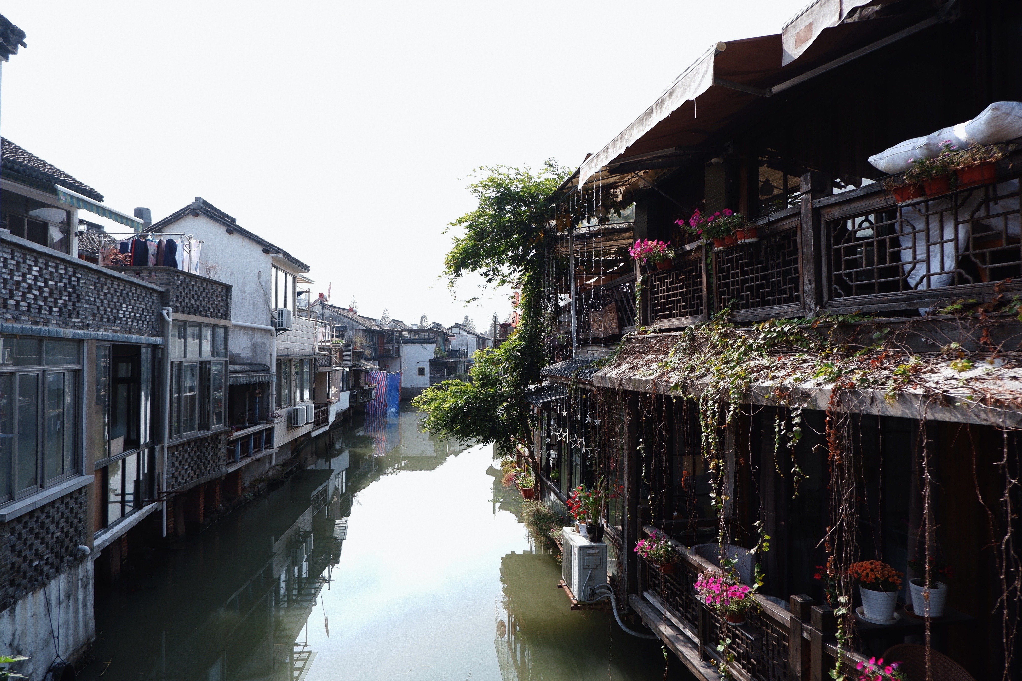 上海市区藏着一个免费的千年古镇,上海免费千年古镇
