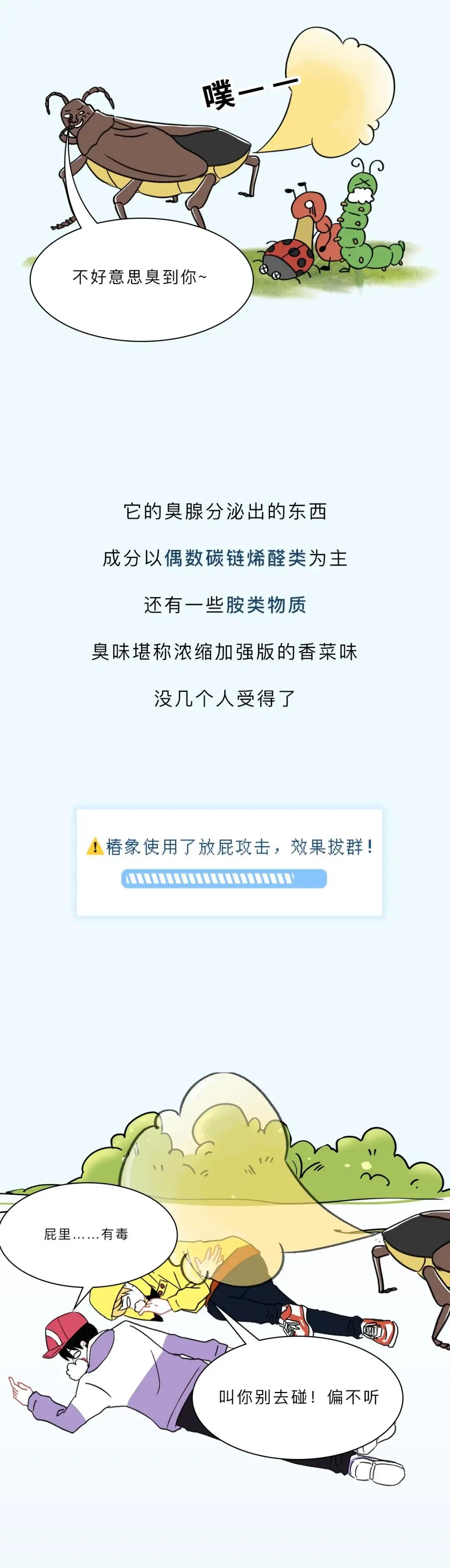 最近看到这些虫子，不要随便拍，建议提前了解（漫画讲解）