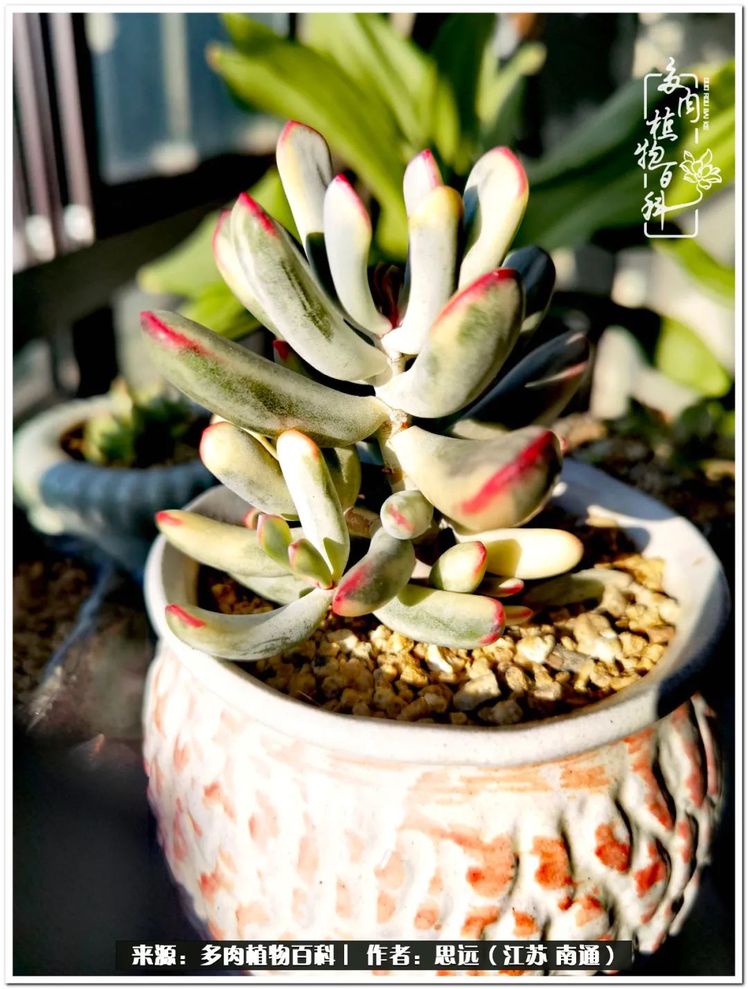 隔着时间的深爱，来自秋天的私语