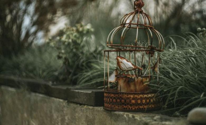 买lv包包要注意,第一次买lv包主要注意的事