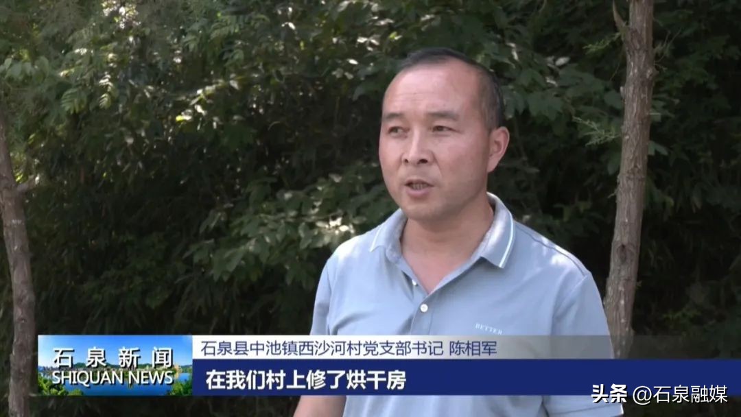 特色富硒乡村产业振兴,助力乡村经济发展富硒产业