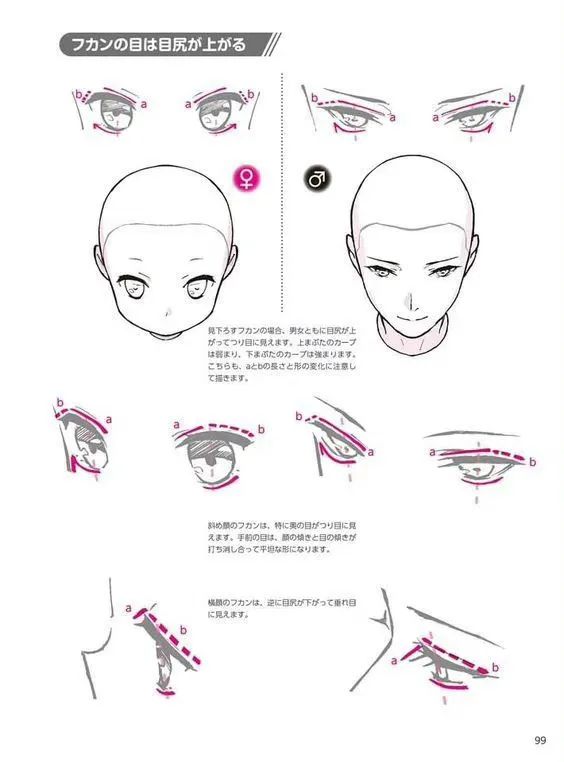 画眼睛教程图片简单漫画,基础绘画漫画眼睛教程