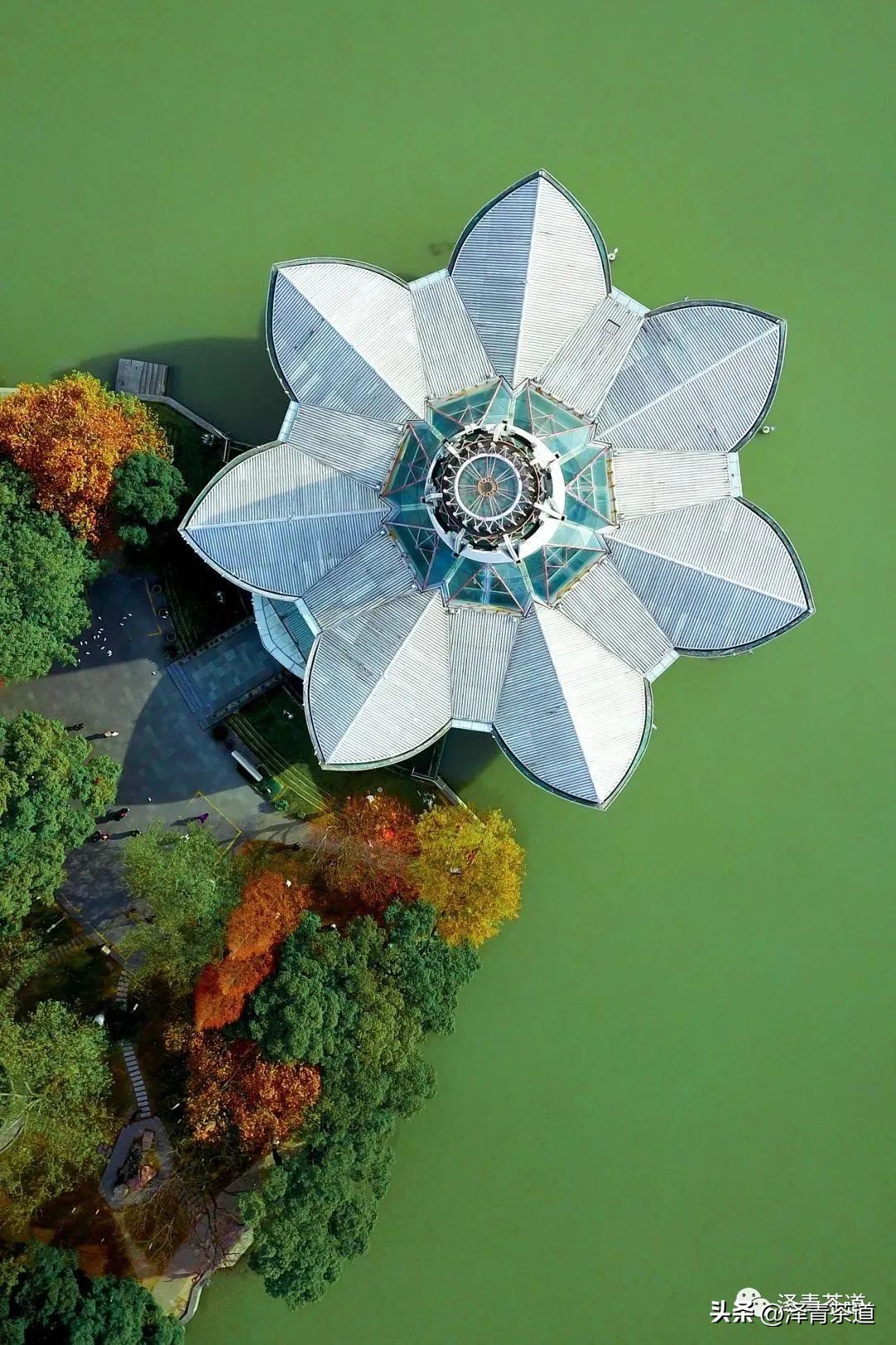 福建中国茶叶第一大省,中国茶叶排名第一省