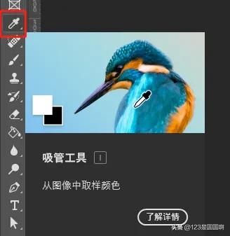 教你如何使用PS中的工具,ps操控变形工具使用视频