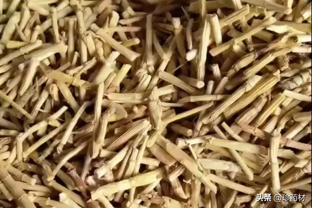 中药材市场快讯,黄连市场快讯