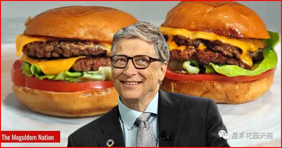 美国人造肉公司濒临破产,人造肉老板当街咬人