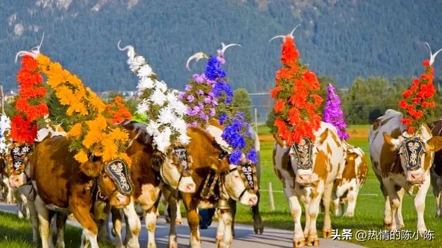 蒙古姑娘出嫁要陪嫁多少东西,蒙古姑娘出嫁仪式