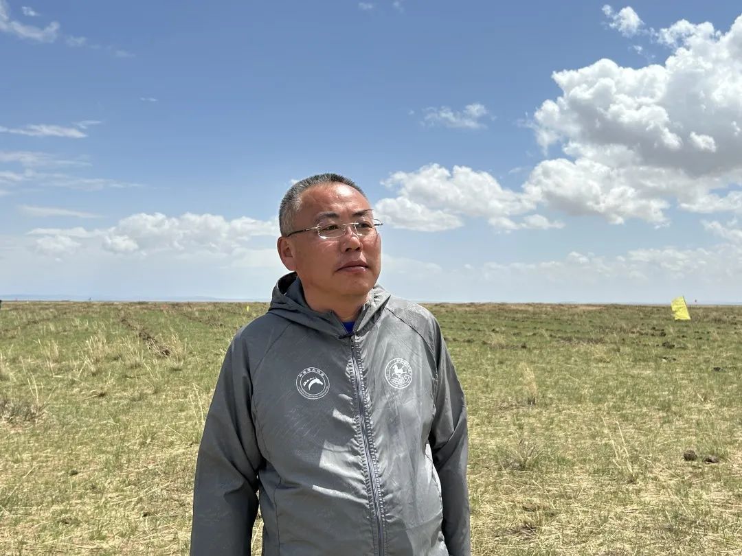 推动各项任务落地见效,推进五大行动