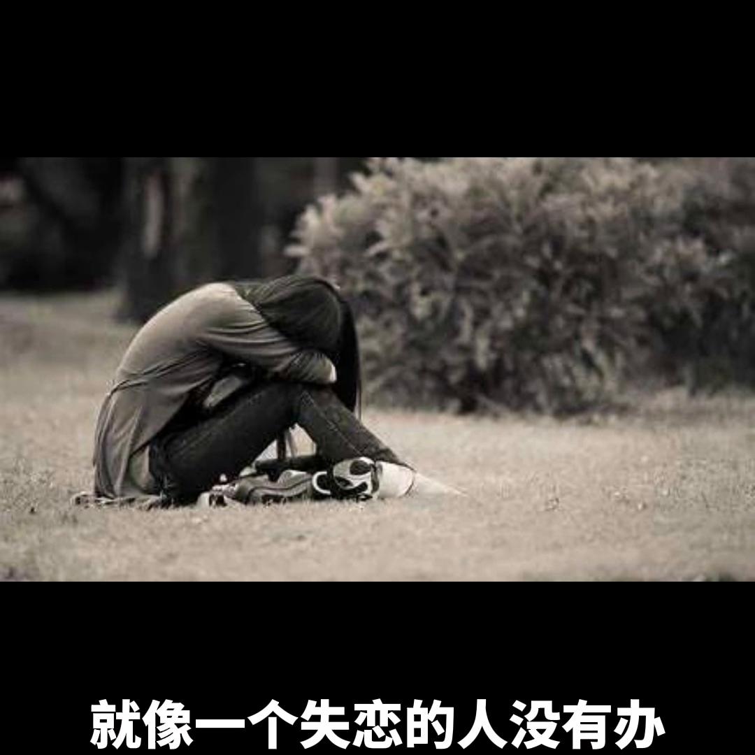 对药代的理解,对于药代的理解