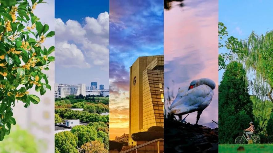 上海必打卡学府,上海最高学府排名第一