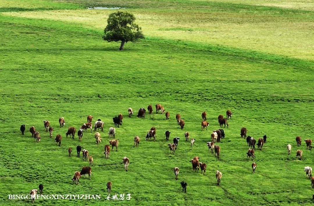 中俄边境线上的小城：逊克，披着“红珠绿边银装”的生态边城