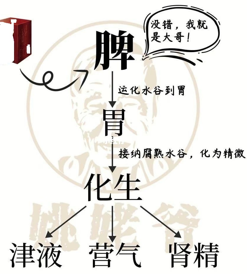 治脾虚的中药是什么类型的药,用于脾虚的19种中草药