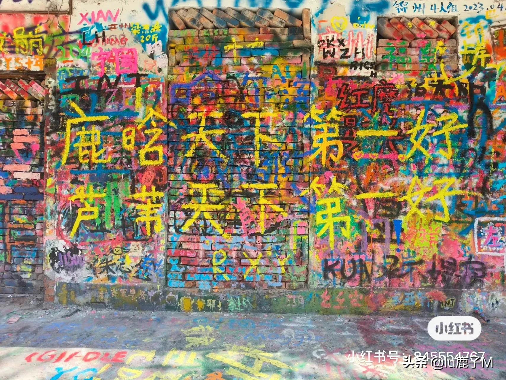 鹿晗说芦苇视频,鹿晗芦苇天下第一好原视频