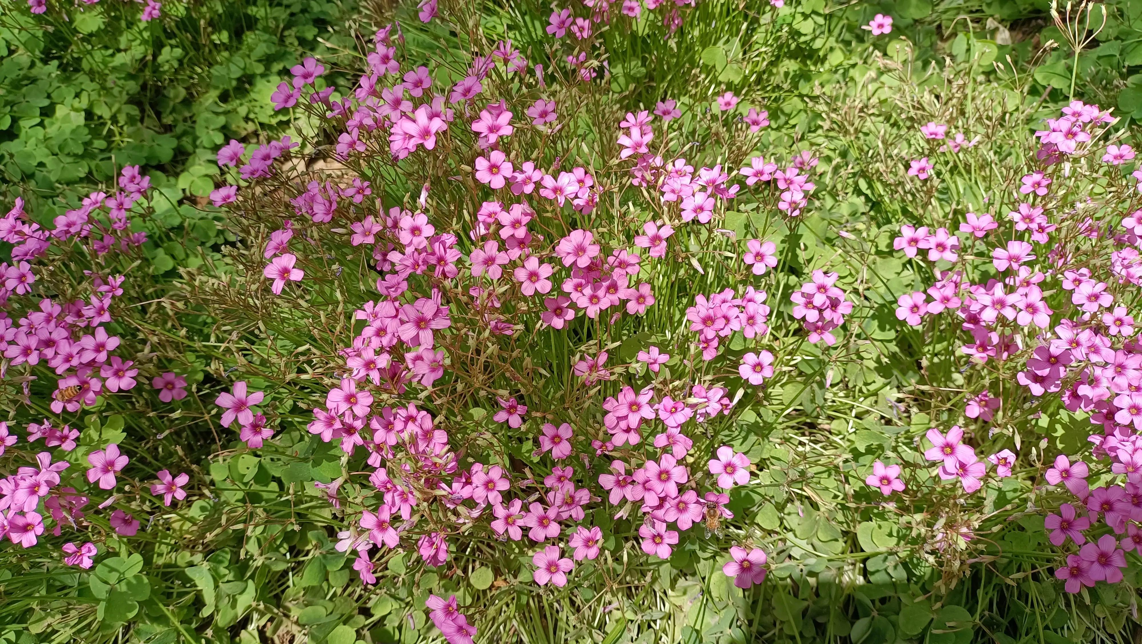 学生找短工,初中毕业暑假找小工
