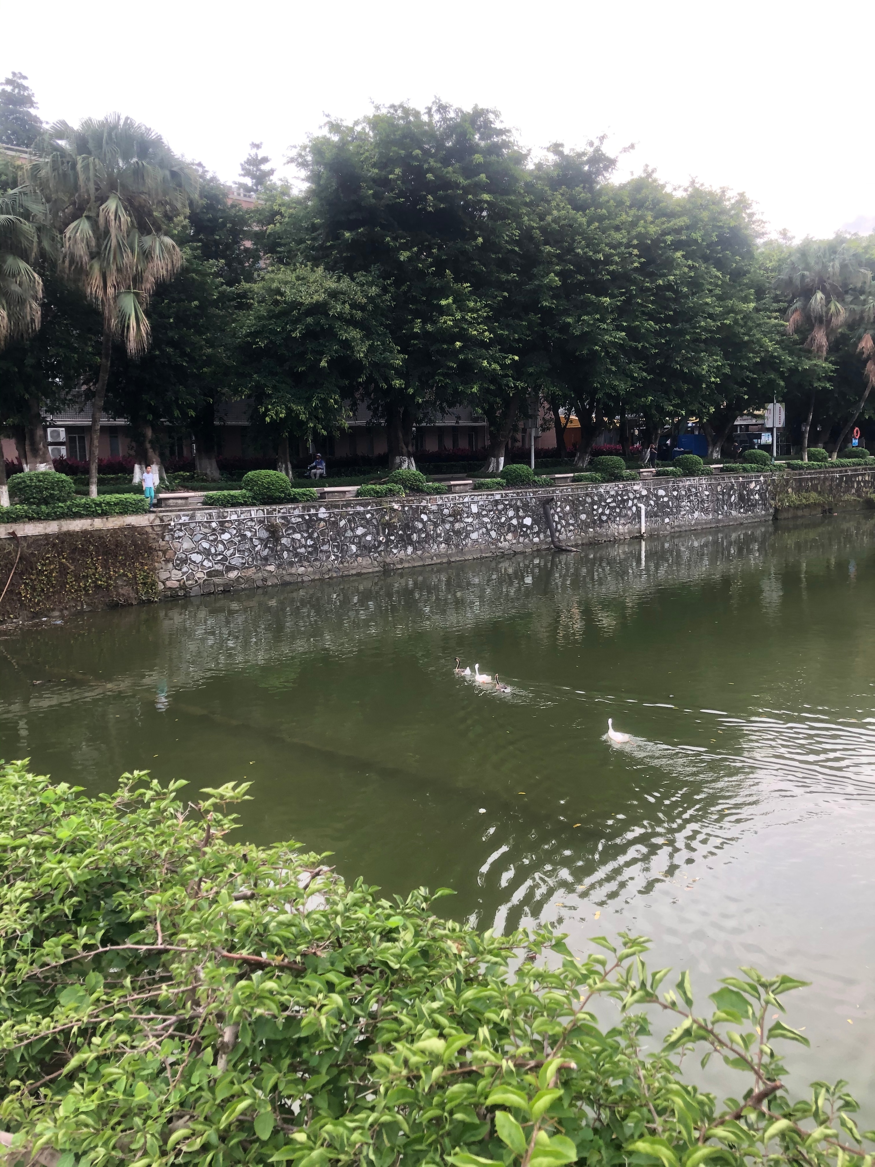 广州小城五山这个地方有多少个大学?