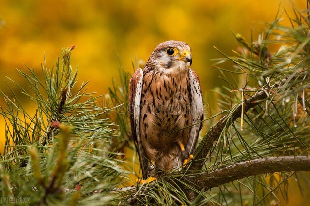 你不知道的国家冷知识比利时,比利时的5个有趣的冷知识