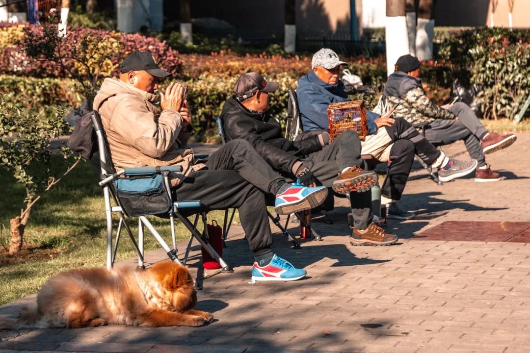 南京察哈尔路39号,南京察哈尔路历史