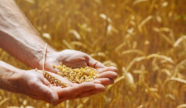 今年世界极端天气有多严重,极端天气是在几几年出现的