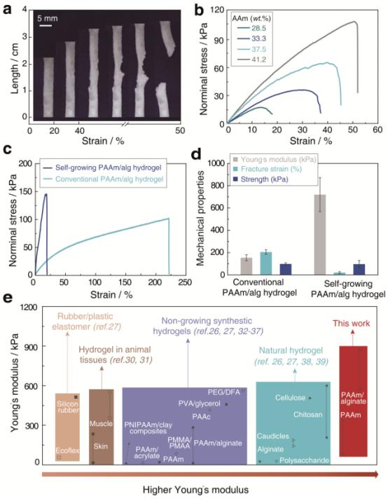 advmater怎么样,adv水凝胶效果怎么样