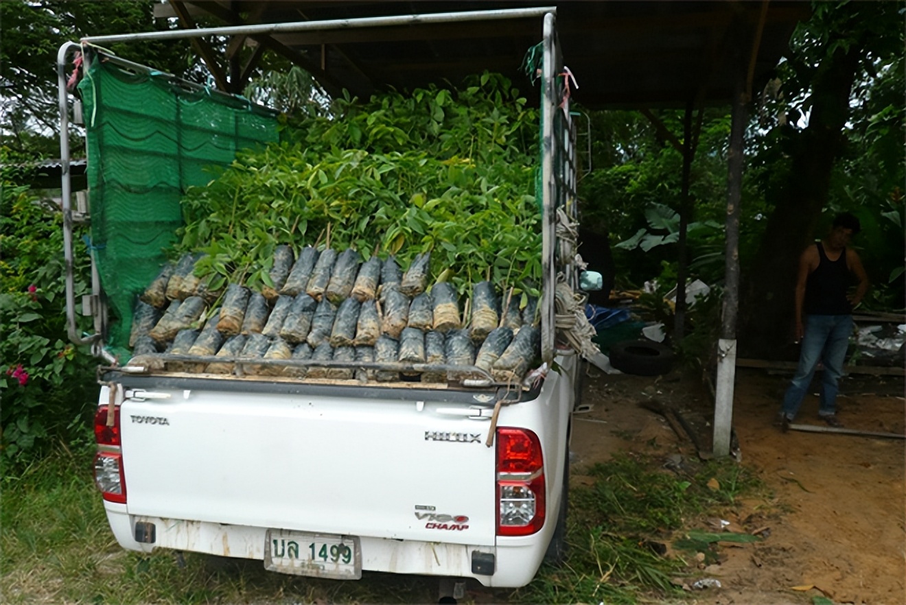 泰国皮卡改装怎样提升马力,泰国皮卡改装大全