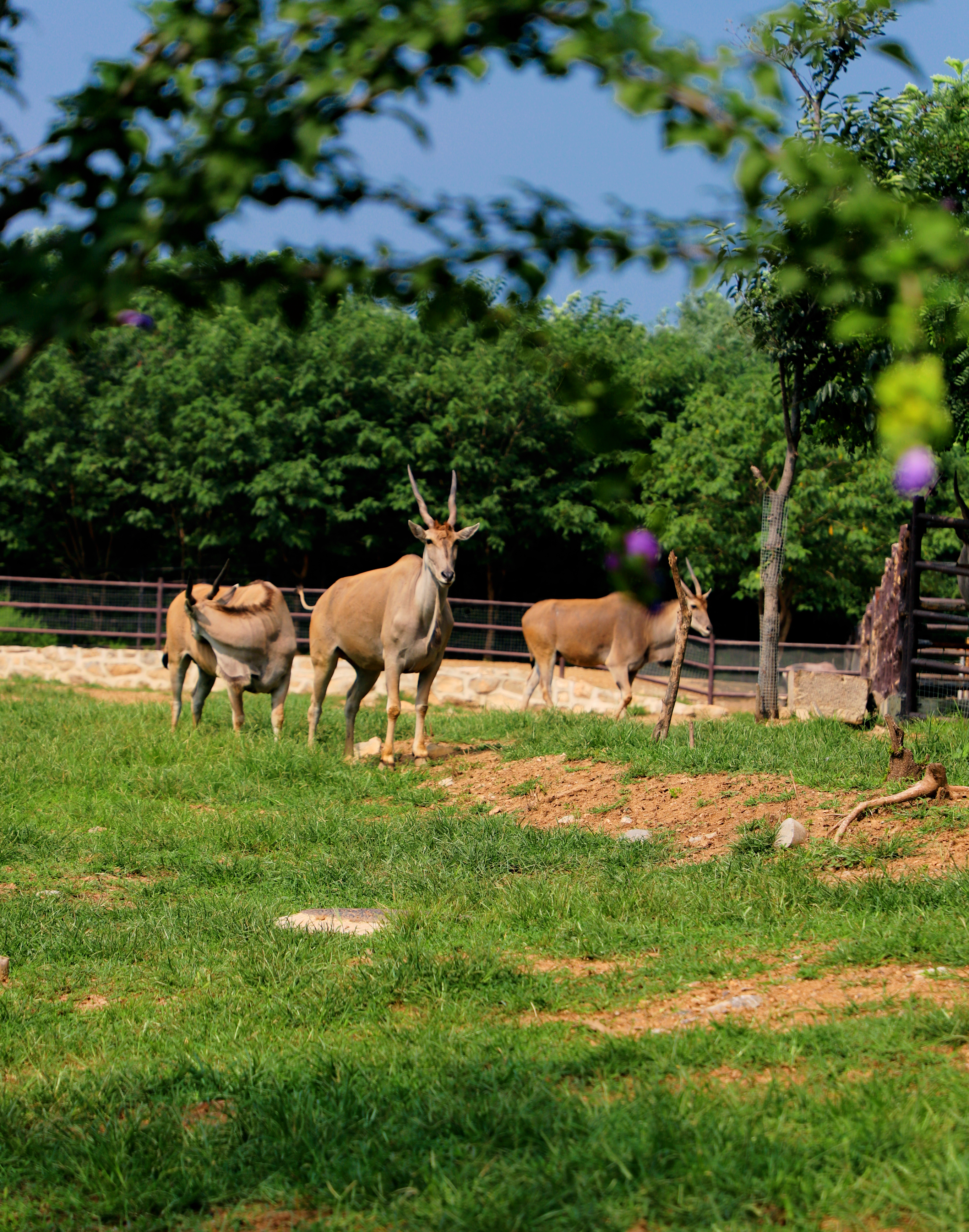 济南春天适合带孩子去的地方,济南春节亲子游