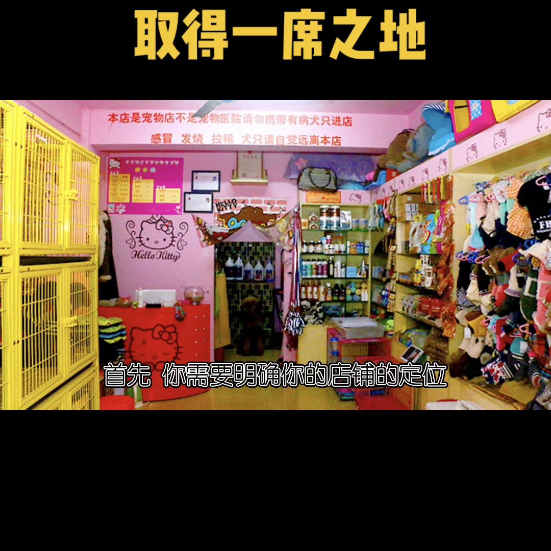 宠物店怎么和其他宠物店合作,宠物店怎么跟宠物医院竞争