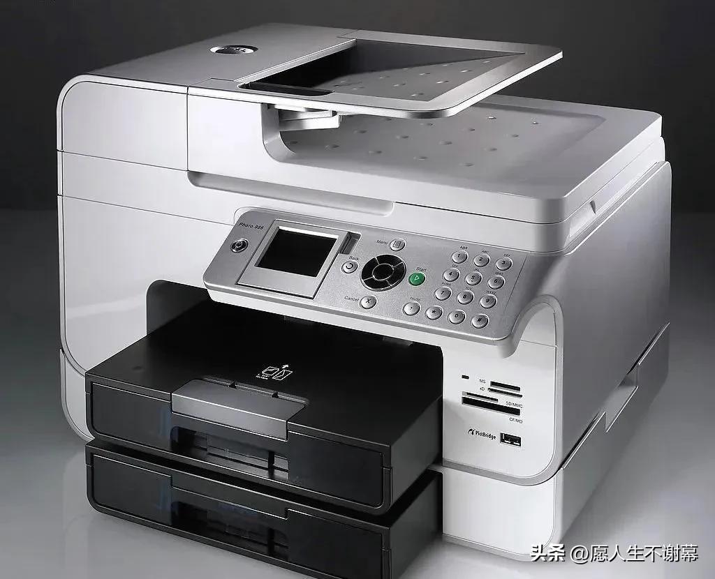 每日一词distin,每日一词terry