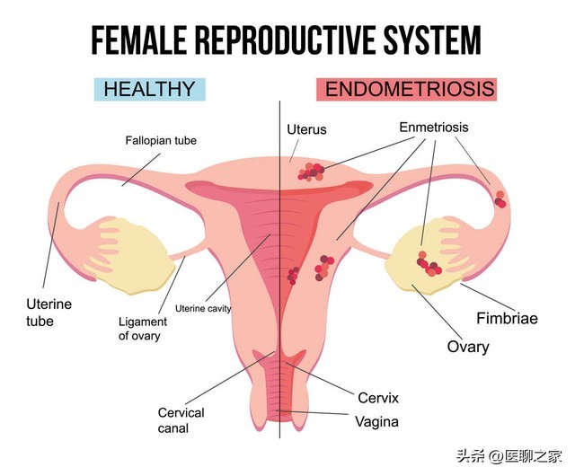中国最好的妇产科医院,北京协和医院妇产科有多厉害