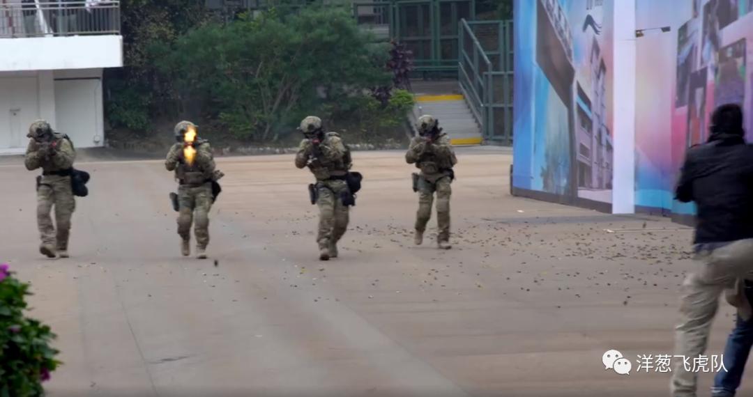 虎年说虎科普视频,虎年说虎运用了哪些说明方法