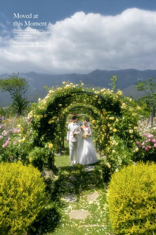 把回忆拼好给你铂爵旅拍,铂爵钟爱一生和铂爵旅拍