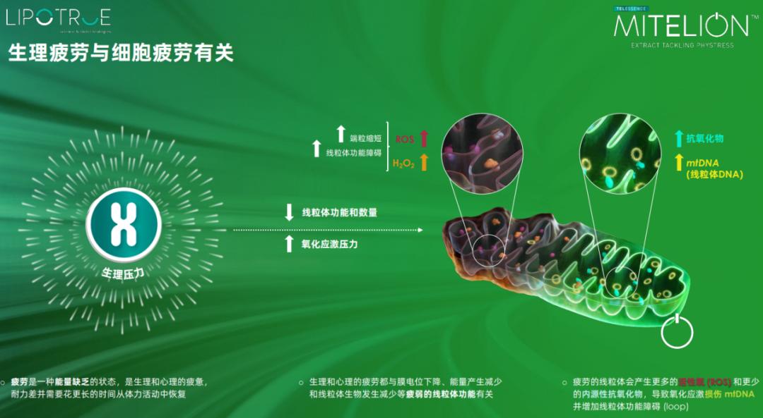 最贵的一瓶护肤品,很昂贵的护肤品