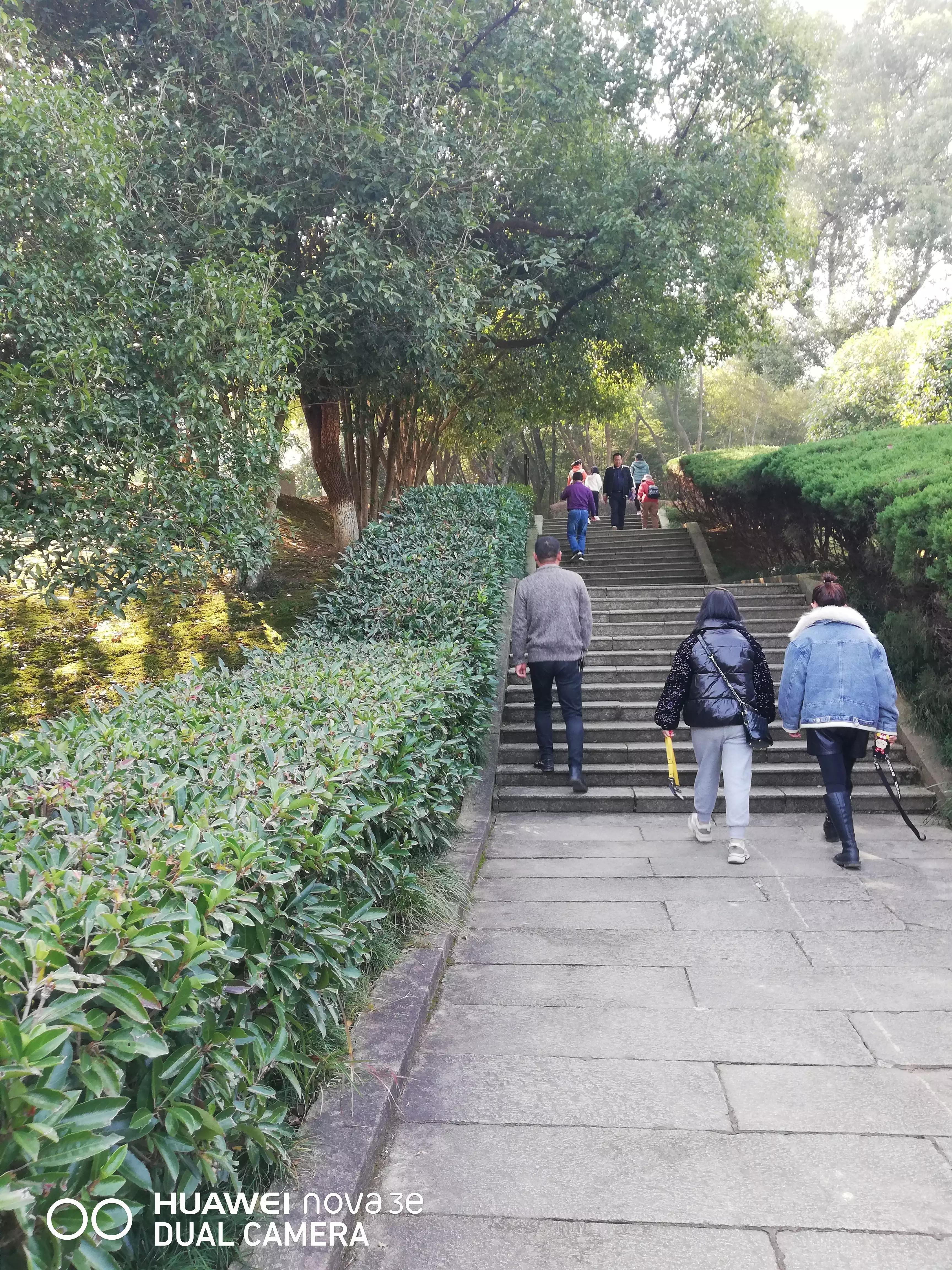 女同学聚会感慨唯美句子,一次同学聚会让我伤透了心