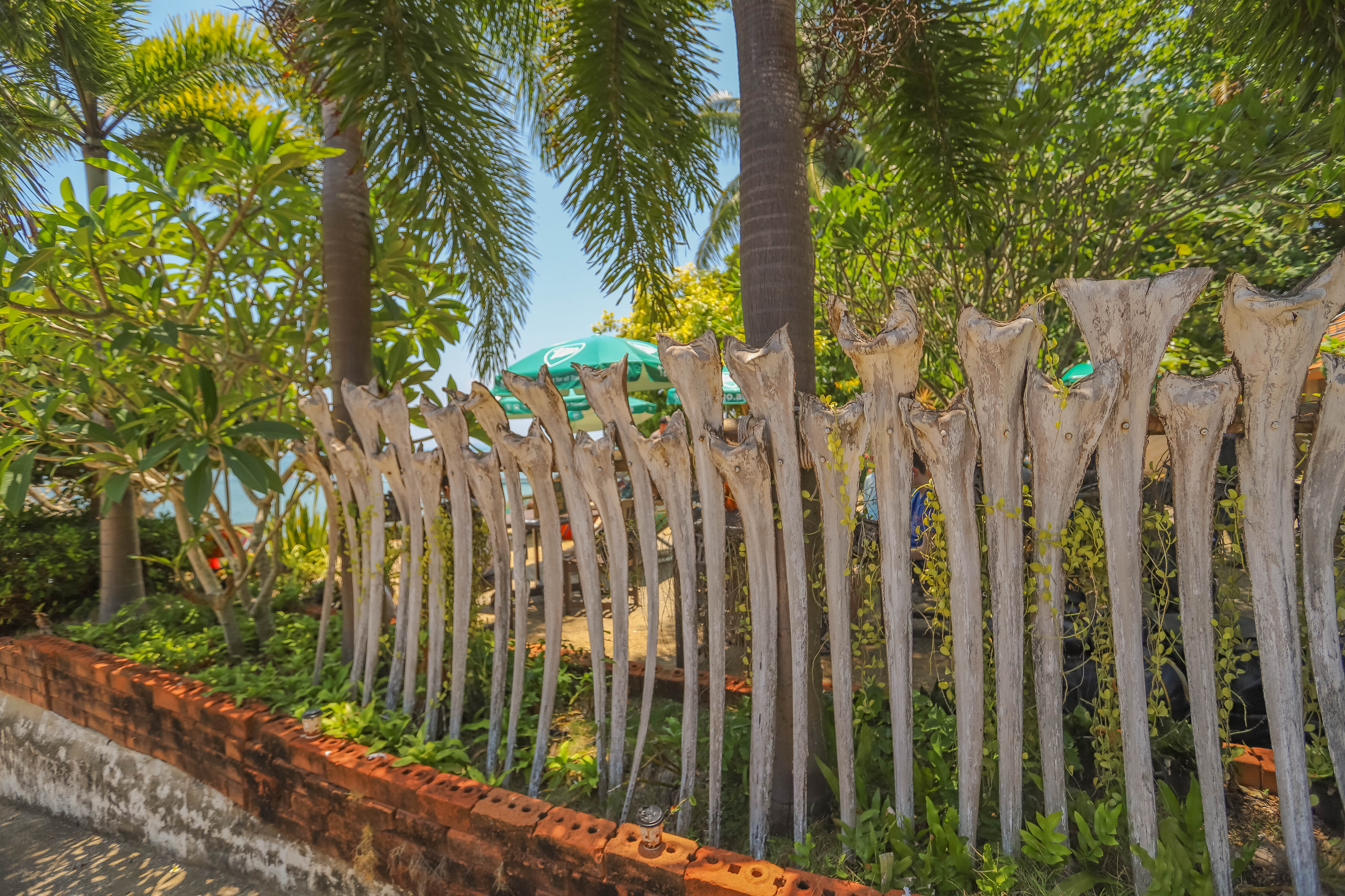 泰国潜水4大海岛攻略,泰国普吉岛潜水旅游攻略