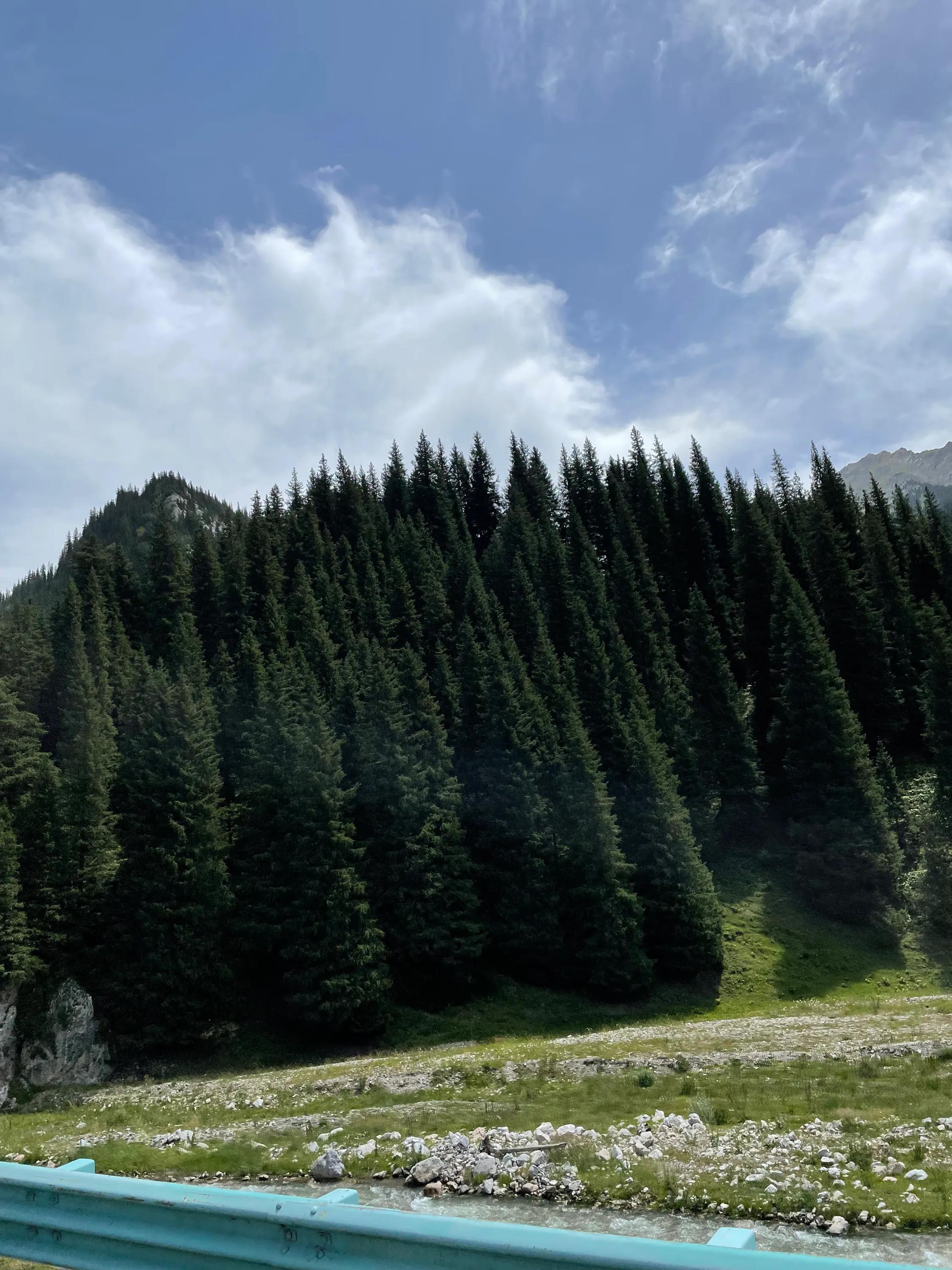暑期第七天：博乐体验民风俗今日家访蒙古族