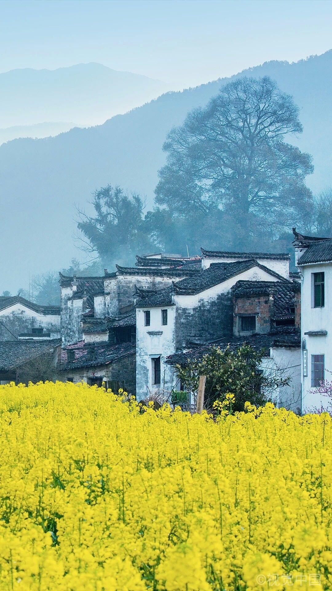 春季赏花景点有哪些,雅安周边春天赏花一日游最佳景点