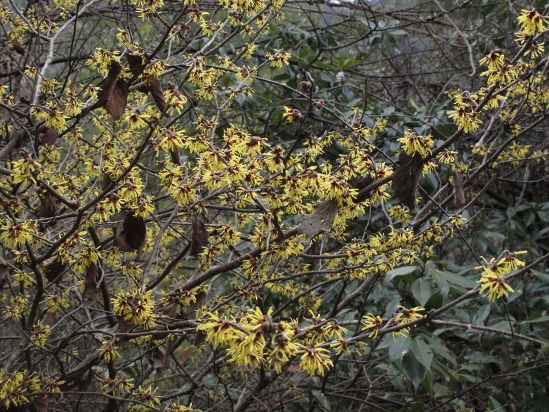 脸上生疮怎么护肤,脸上生疮的最佳治疗方法